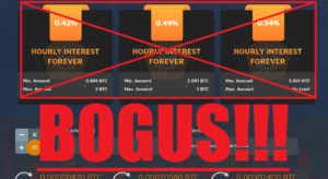 Bogus bitpenta profits