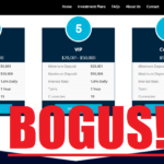 mineland bogus profits