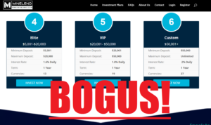 Mineland Bogus Profits