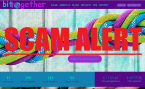 Bit Together Scam