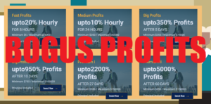 Meprofits scam