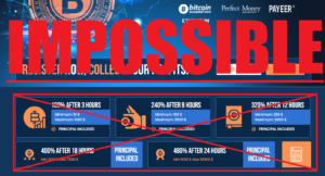 Pro Income Profits