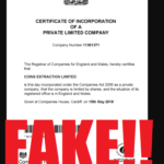 COINSEXT Fake Company