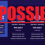 COINSEXT Profits
