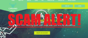 Cardano Pays Scam Alert