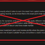 Wealthfund BS