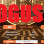 Wealthfund Profits