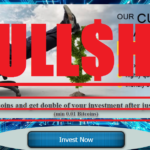 ebitinvest BS