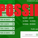 Triera Group Profits