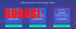 Next Coin Market