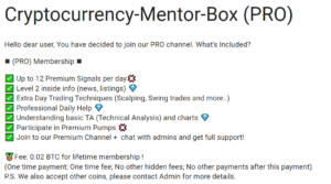 Cryptocurrency Mentor Box