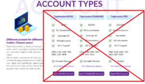 TopInvestus 
