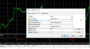 EA Pip Scalper Installation