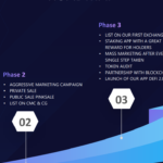 metamax roadmap